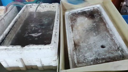 西北老狼哥哥发布了一个斗鱼视频2019-02-27