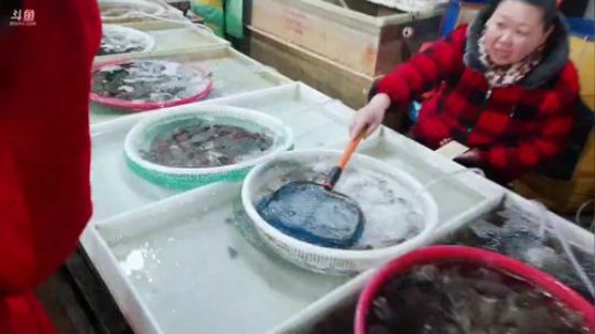 龙马精神丶老狼哥发布了一个斗鱼视频2019-02-27