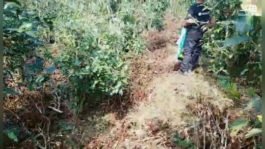龙马精神之神笔马龙发布了一个斗鱼视频2019-02-27