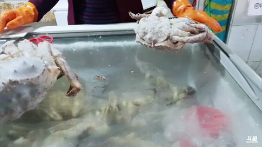 西北老狼哥哥发布了一个斗鱼视频2019-02-27