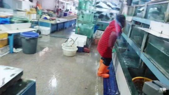 龙马精神丶老狼哥发布了一个斗鱼视频2019-02-27