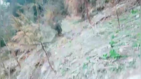 港姐深山露营季(≧ω≦)/ 2019-02-27 17点场