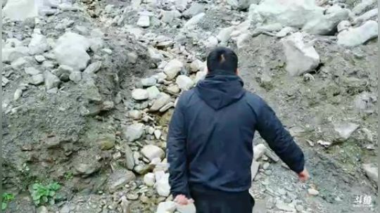 两个小改改想吃点啥(≧ω≦)/ 2019-02-28 15点场