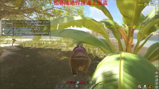 我的特点就是不擅长倒下UPUP 2019-02-28 20点场