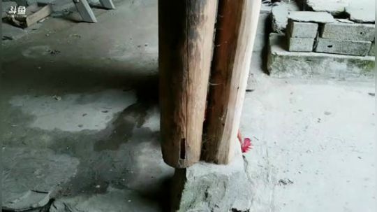 两个小改改想吃点啥(≧ω≦)/ 2019-02-28 14点场