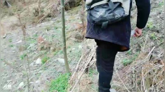 港姐深山露营季(≧ω≦)/ 2019-02-27 15点场