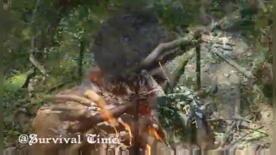 【荒野基友】~鱼扔了吃虾~小哥骚操作~