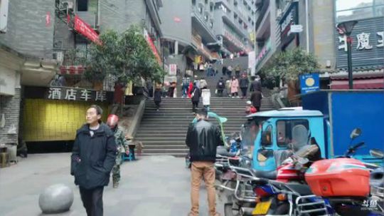 鱼乐大爆炸城市生存 2019-03-01 16点场