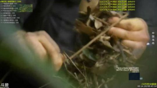 护法惊丶发布了一个斗鱼视频2019-03-01