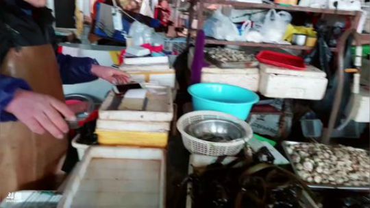 龙马精神丶老狼哥发布了一个斗鱼视频2019-03-01