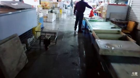 西北老狼哥哥发布了一个斗鱼视频2019-03-02