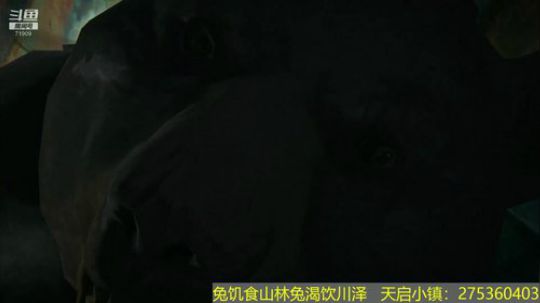 漫漫长夜#一周目 2019-02-28 22点场