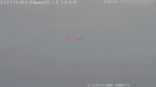 户外遛狗王飞哥发布了一个斗鱼视频2019-03-02