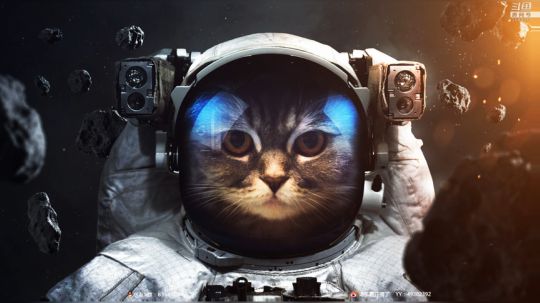 国产多人在线躲猫猫 2019-03-01 20点场