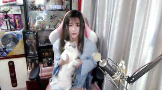 喵老师的圣诞树发布了一个斗鱼视频2019-03-03