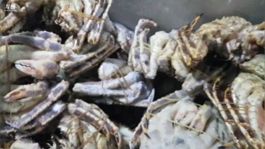 龙马精神丶老狼哥发布了一个斗鱼视频2019-03-03