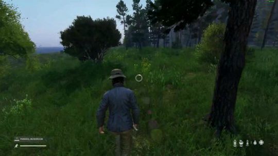dayz僵尸末日 840351 2019-03-03 13点场