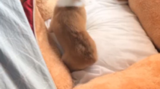 睡个午觉
