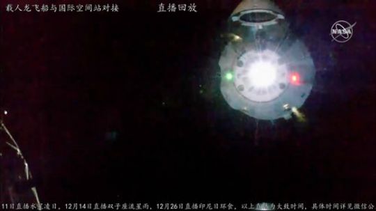 户外遛狗王飞哥发布了一个斗鱼视频2019-03-04