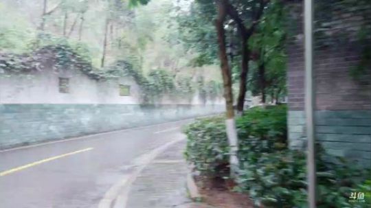 来了，老弟。 244548 2019-03-05 15点场