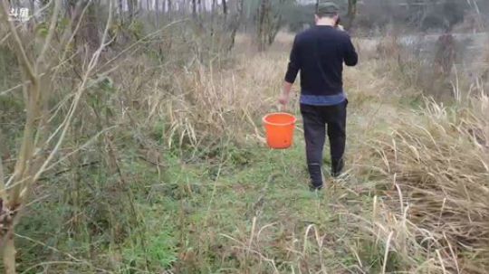 寻找丢失的地笼。 2019-03-05 15点场