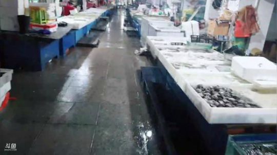 龙马精神丶老狼哥发布了一个斗鱼视频2019-03-05