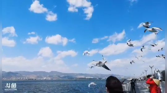 痒痒虫：不想说话，看看天 2019-03-05 13点场