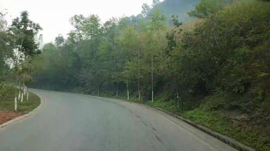 哆啦爱梦梦发布了一个斗鱼视频2019-03-05