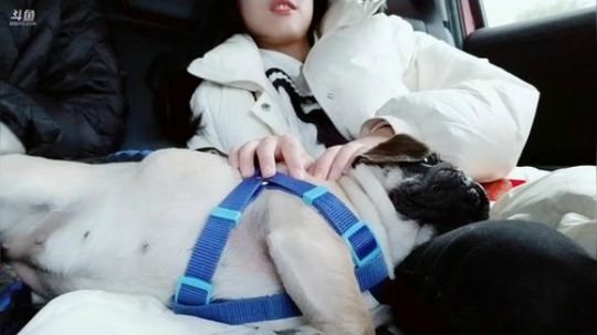 骆歆：带狗狗看病 2019-03-03 17点场