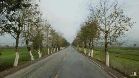 HHHISHHH发布了一个斗鱼视频2019-03-07