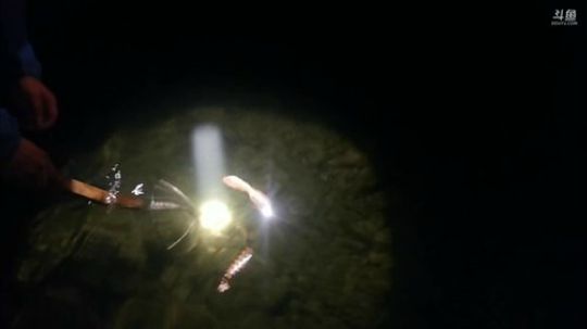 河道抓水疯子！ 2019-03-09 20点场