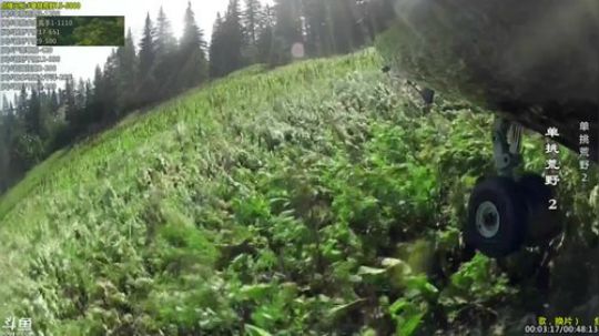 户外遛狗王飞哥发布了一个斗鱼视频2019-03-09