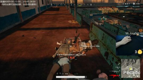 ⭐单人四排⭐ 2019-03-08 20点场