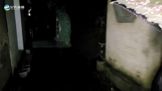 我本善良72发布了一个斗鱼视频2019-03-09