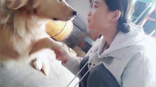 肖淑洁生命中的光和盐发布了一个斗鱼视频2019-03-09