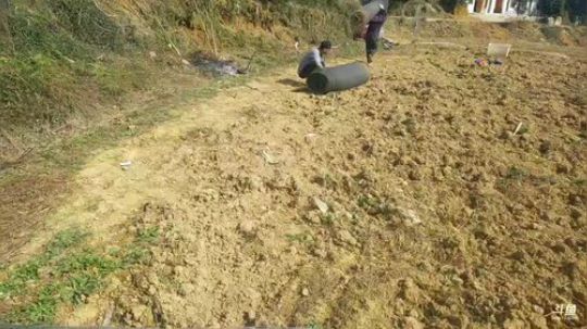 整理农场！ 2019-03-10 14点场