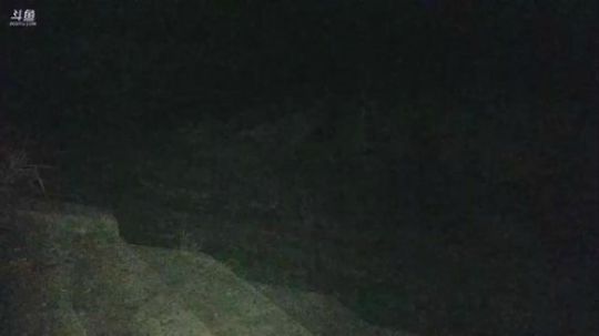 河道抓水疯子！ 2019-03-09 23点场