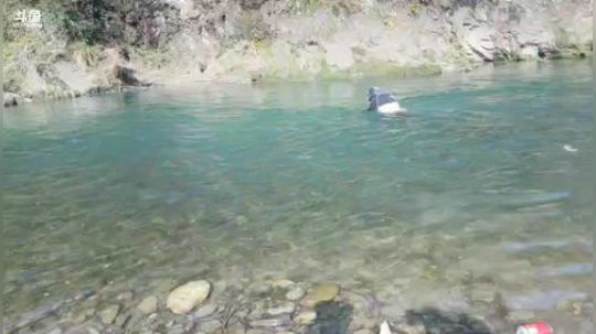 整理农场！ 2019-03-10 15点场