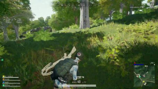 雷疯讲棋：体验一个象棋疯子给您带来的快乐 2019-03-11 01点场