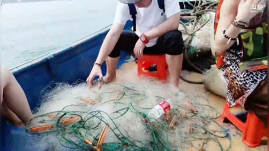 肖淑洁生命中的光和盐发布了一个斗鱼视频2019-03-12