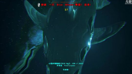 我的特点就是不擅长倒下UPUP 2019-03-13 03点场