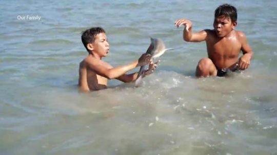 【荒野戏精】和海里搏斗！生吃