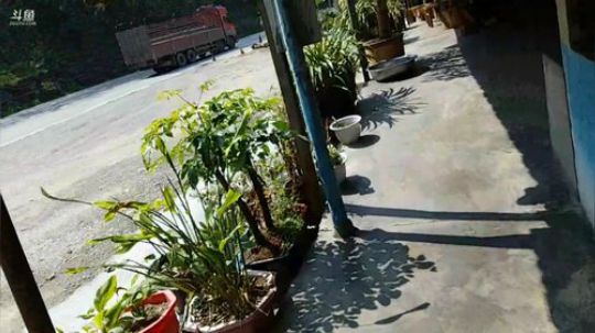 哆啦爱梦梦发布了一个斗鱼视频2019-03-13