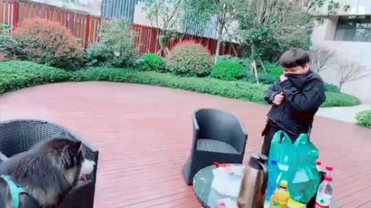 表演鲱鱼罐头拌火鸡面 2019-03-13 13点场