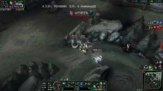 峡谷之巅大师局狮子狗 2019-03-13 00点场