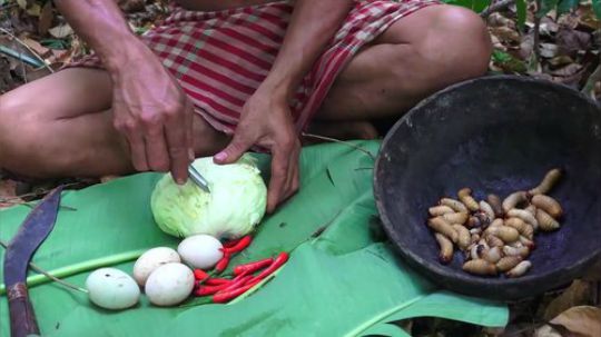 【荒野虫哥】包菜挖空把虫放进去烤熟吃！荤素搭配.