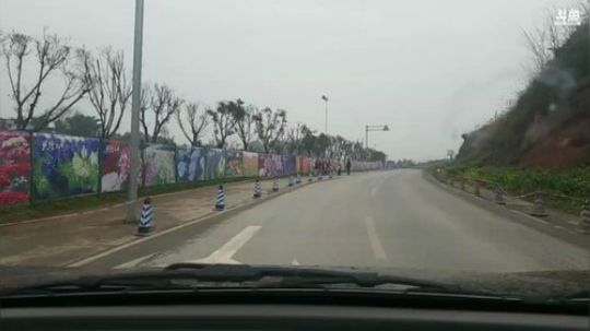 户外1.0打鱼摸瞎 2019-03-13 11点场