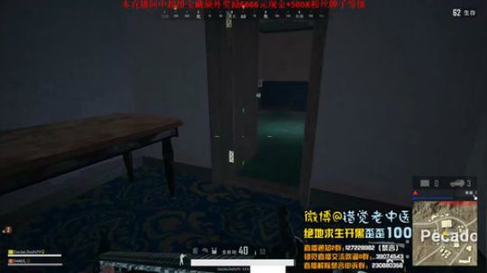 【错觉老中医】双排8杀吃鸡