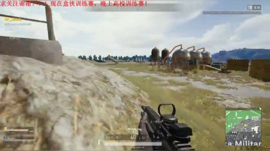 两连鸡