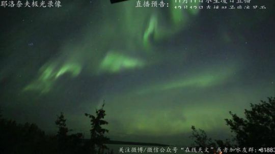 户外遛狗王飞哥发布了一个斗鱼视频2019-03-15